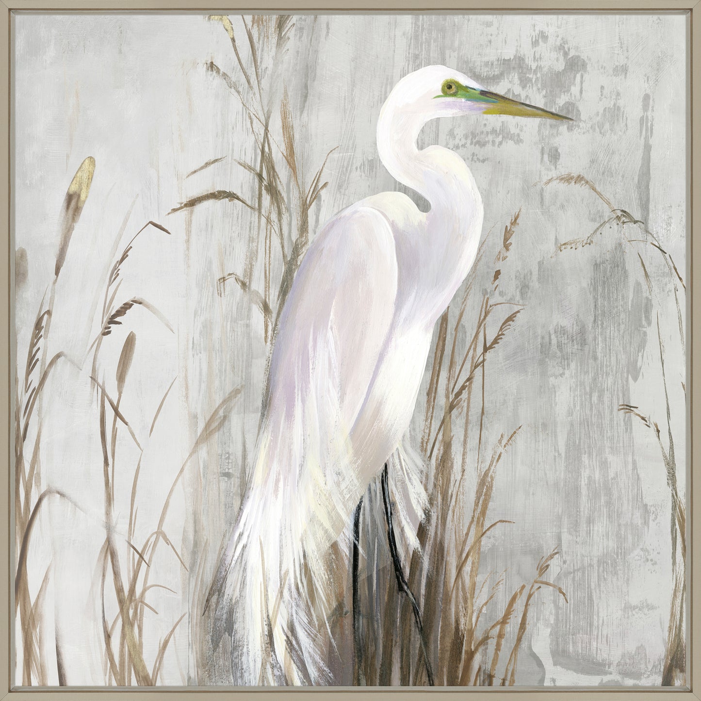 White Egret