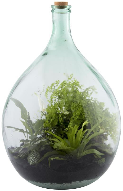 Terrarium Bottle 55L Set