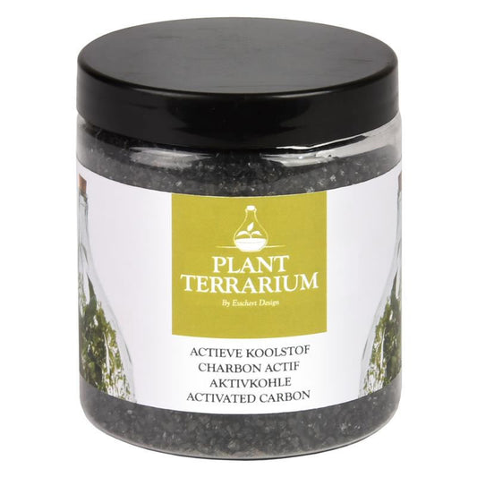 Terrarium Charcoal
