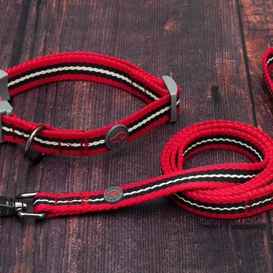 Durham WalkAbout Dog Collar XS