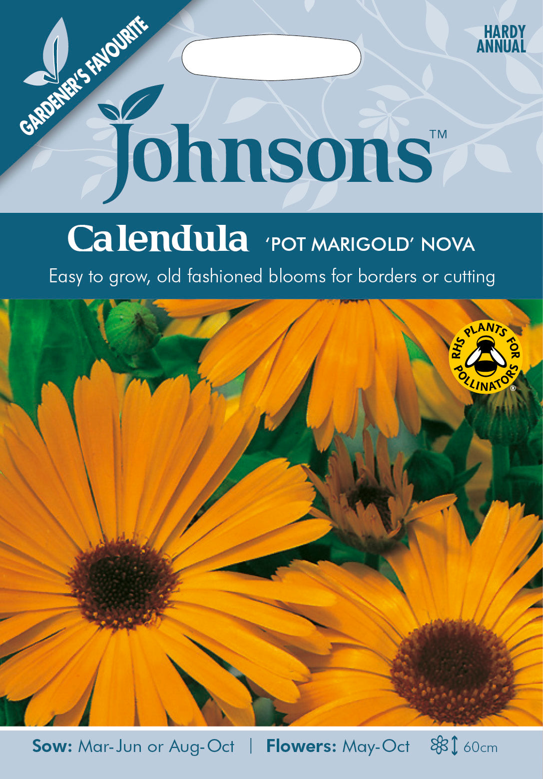 CALENDULA Pot Marigold Nova