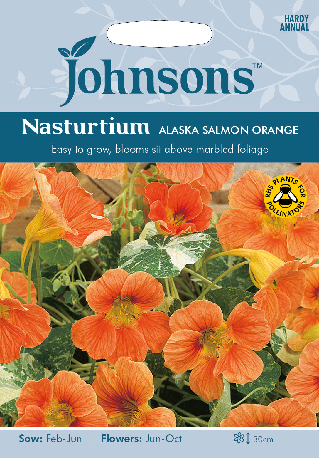 NASTURTIUM Alaska Salmon Orange