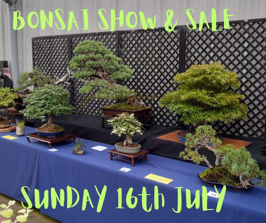 Bonsai Show & Sale - Sunday 14th July 2024