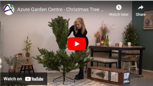 Christmas Decorations and Trees - Supplier Videos