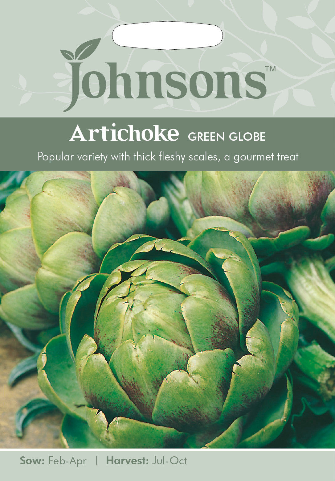 ARTICHOKE Green Globe