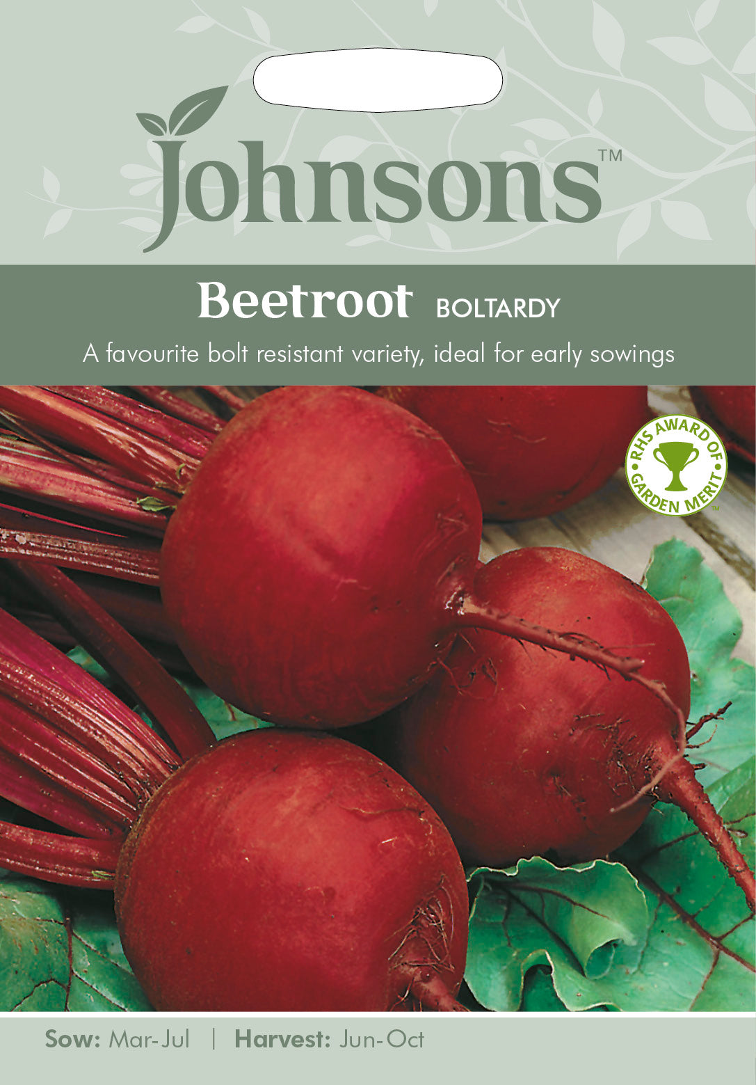 BEETROOT Boltardy