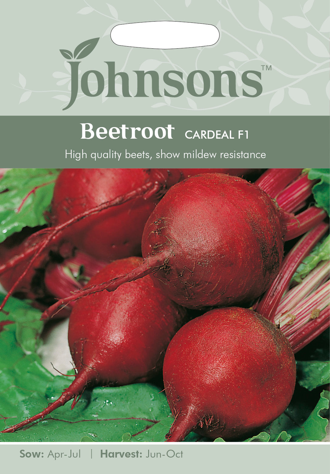 BEETROOT Cardeal F1