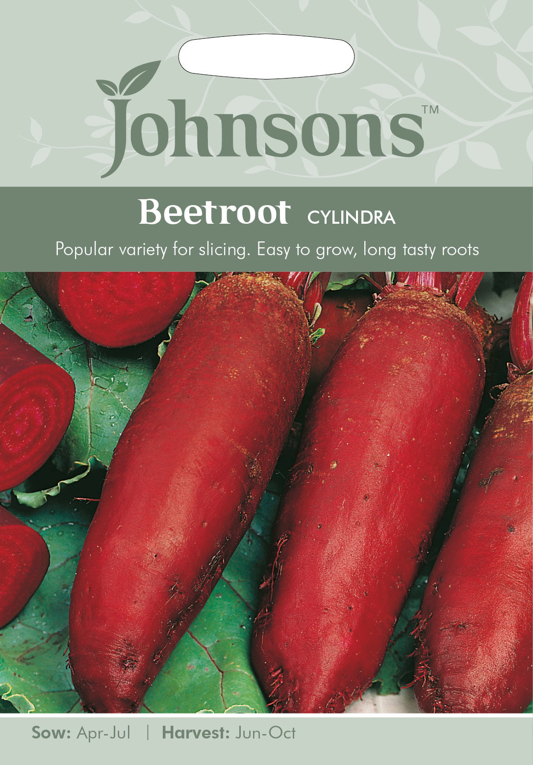 BEETROOT Cylindra