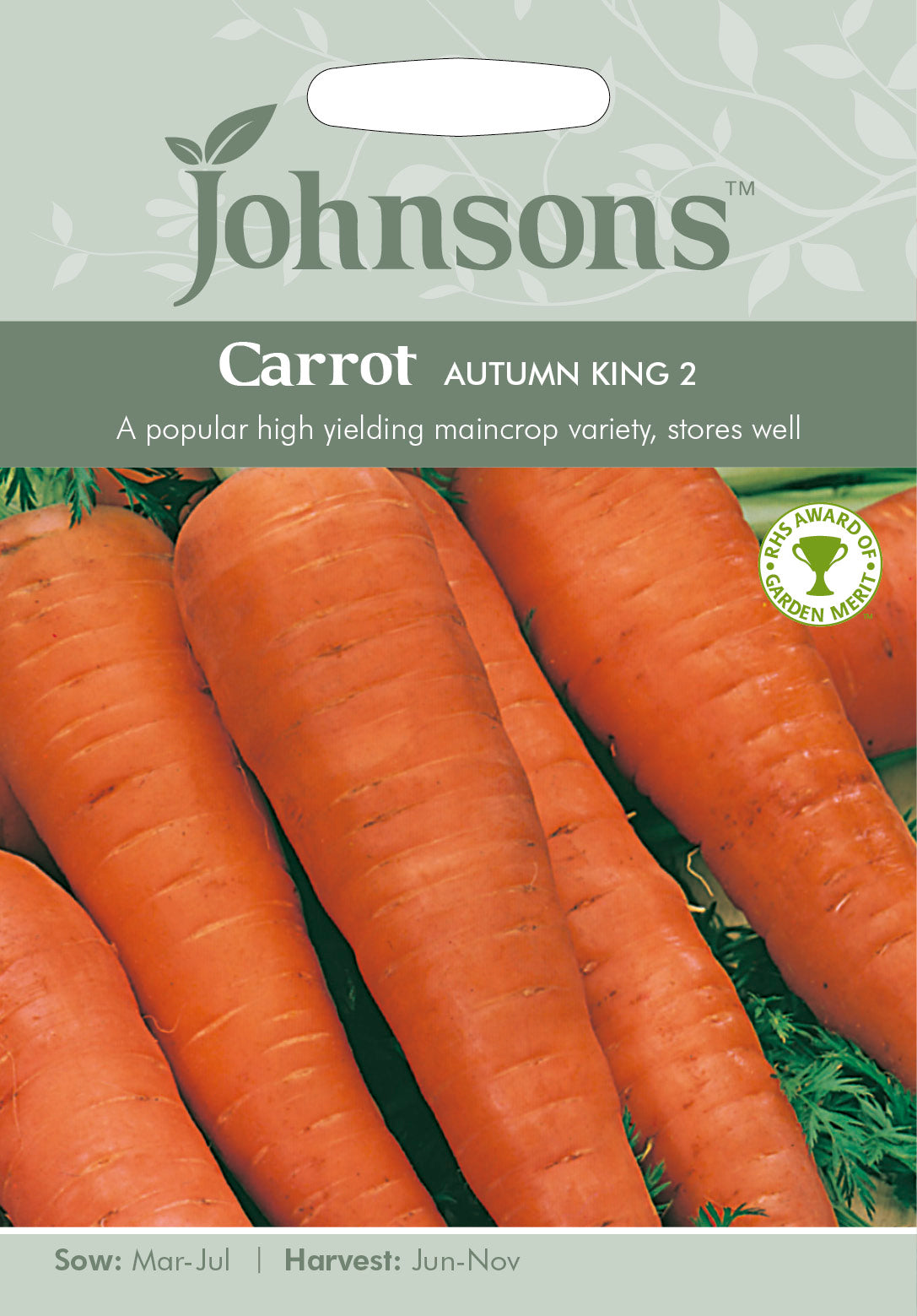 CARROT Autumn King 2