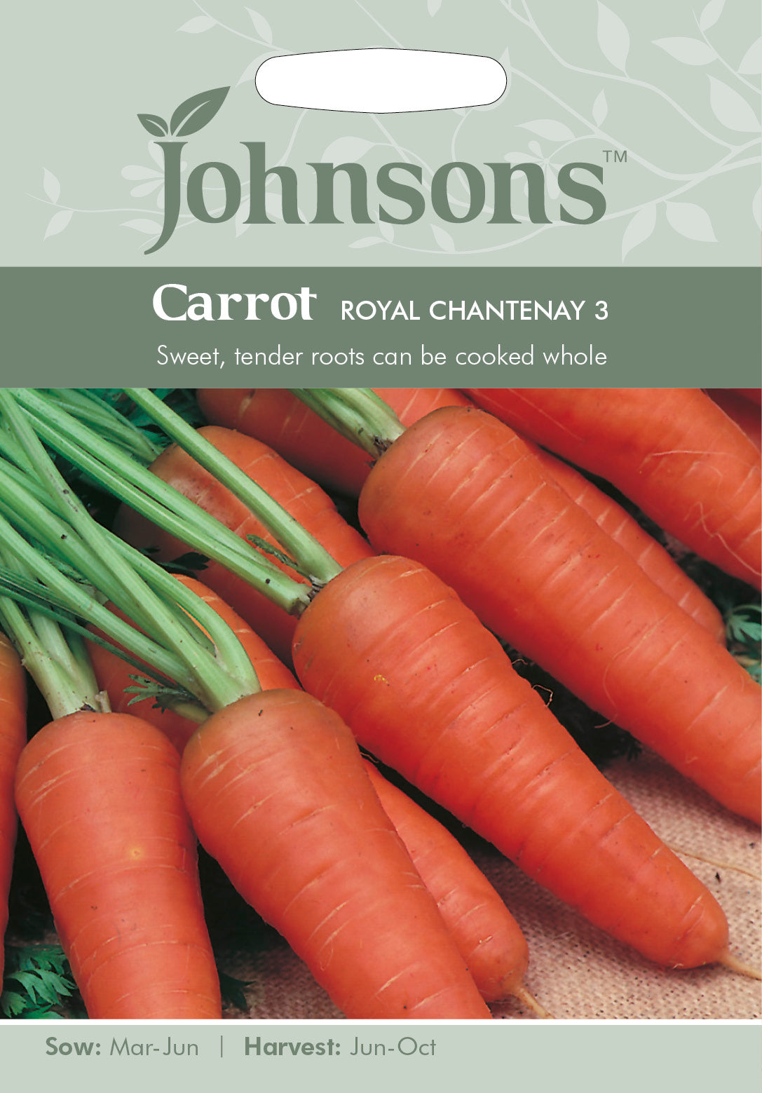 CARROT Royal Chantenay 3