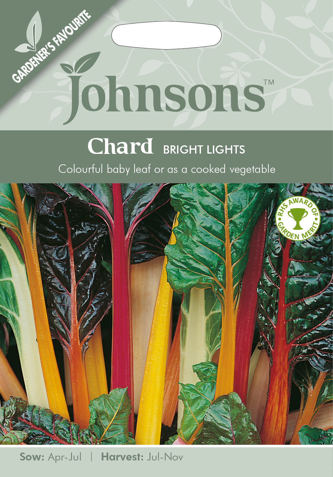 CHARD Bright Lights