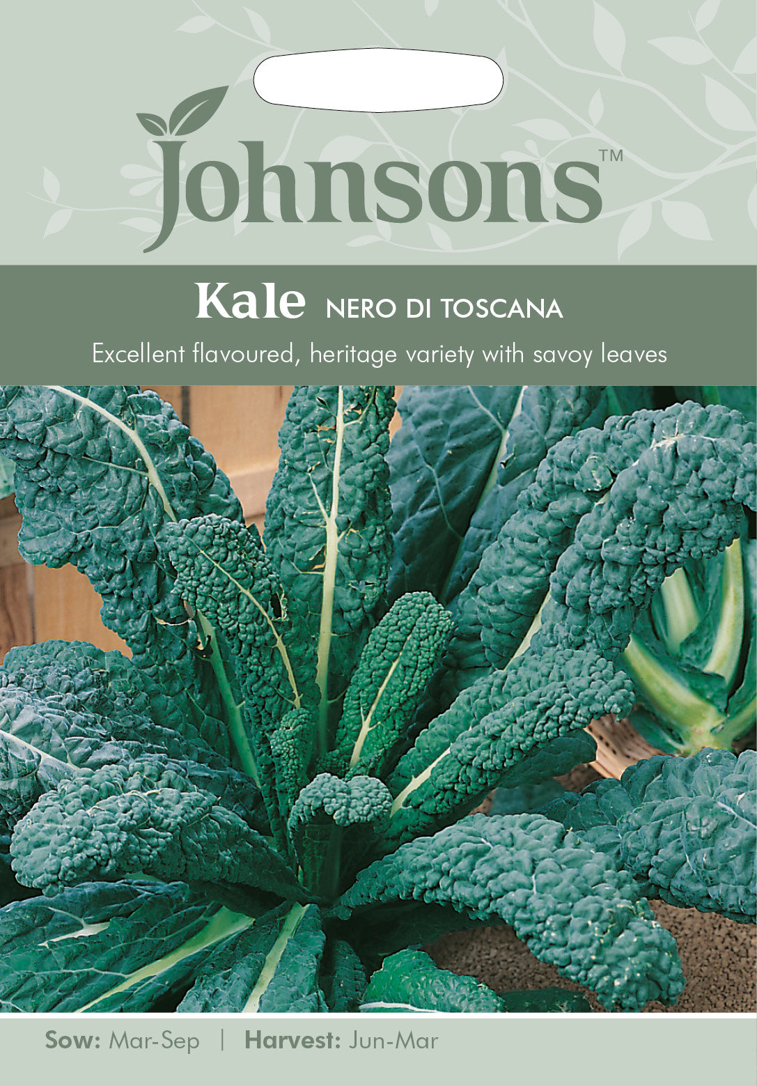 KALE Nero di Toscana