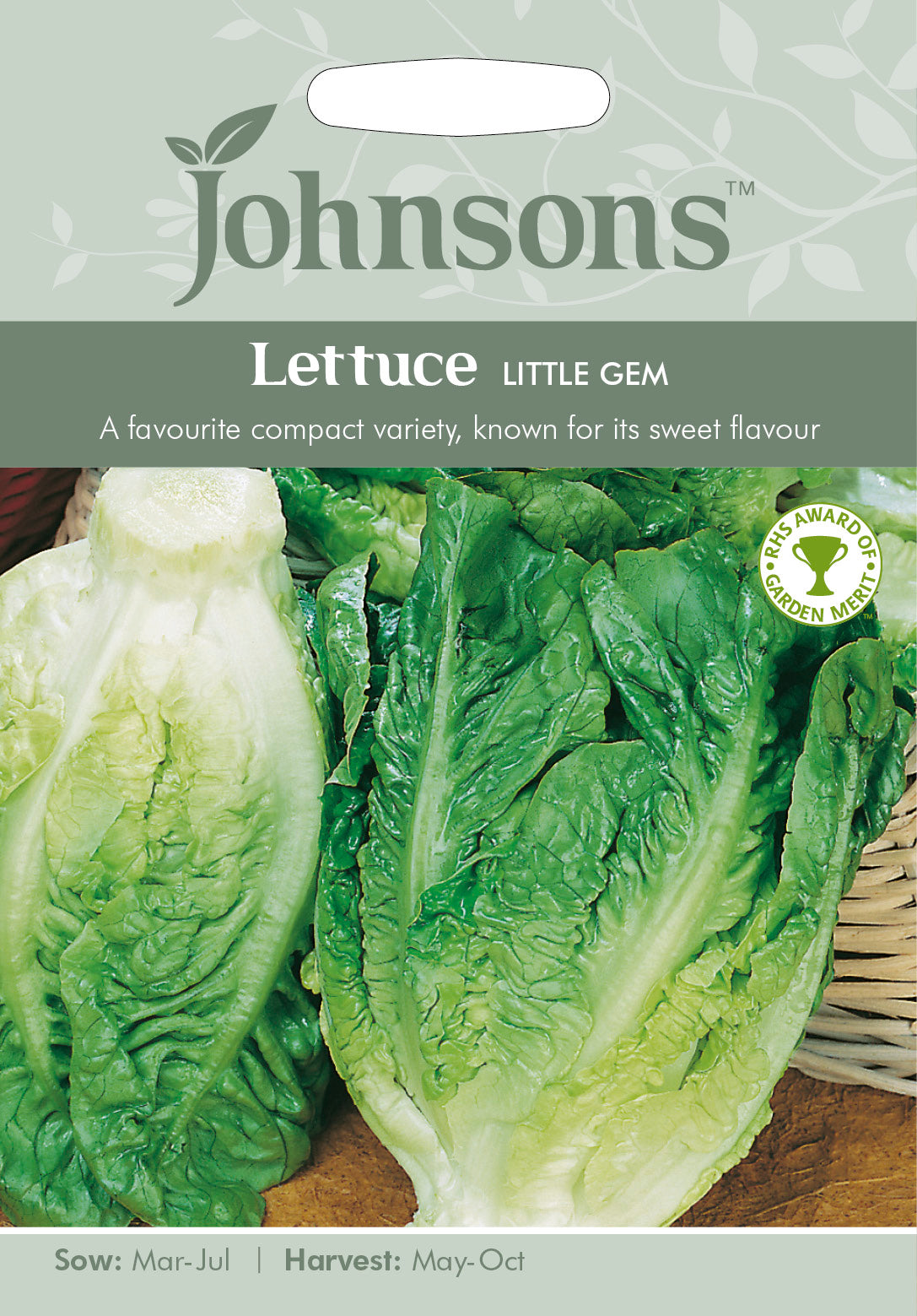 LETTUCE Little Gem