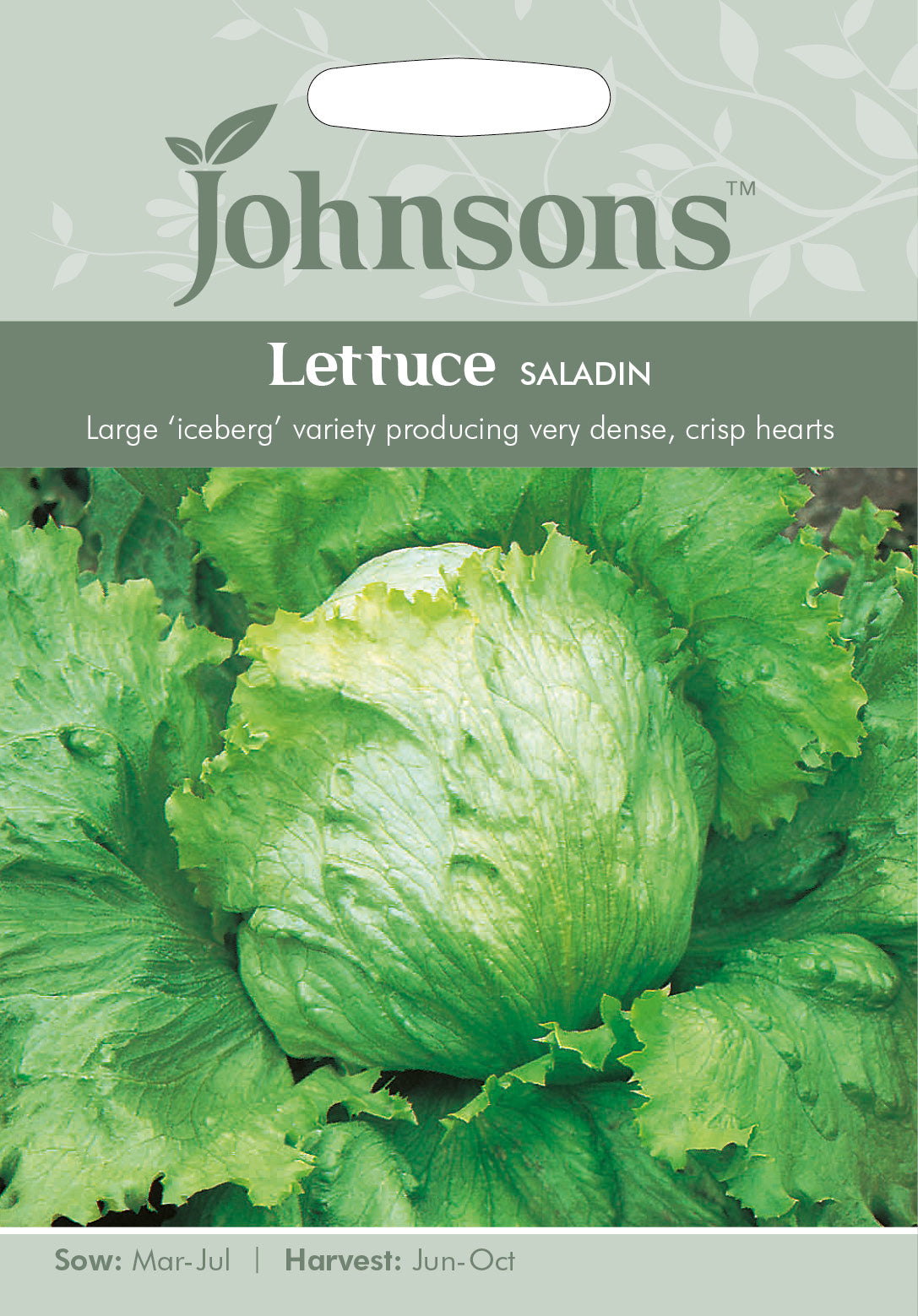 LETTUCE Saladin