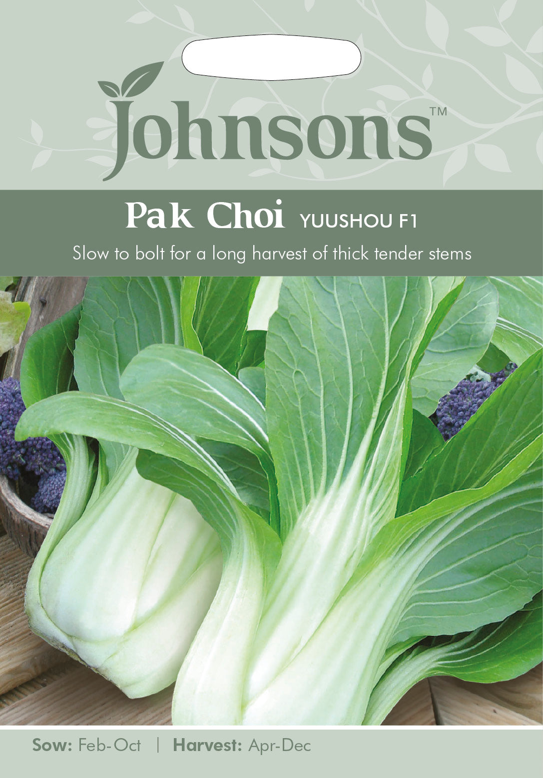 PAK CHOI Yuushou F1