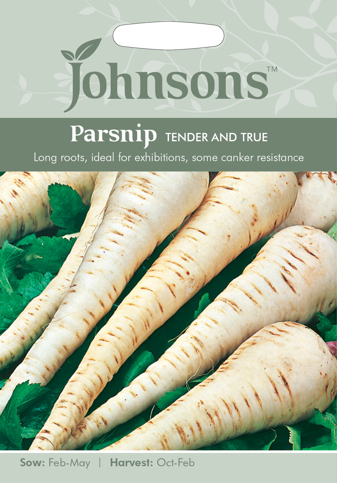 PARSNIP Tender and True