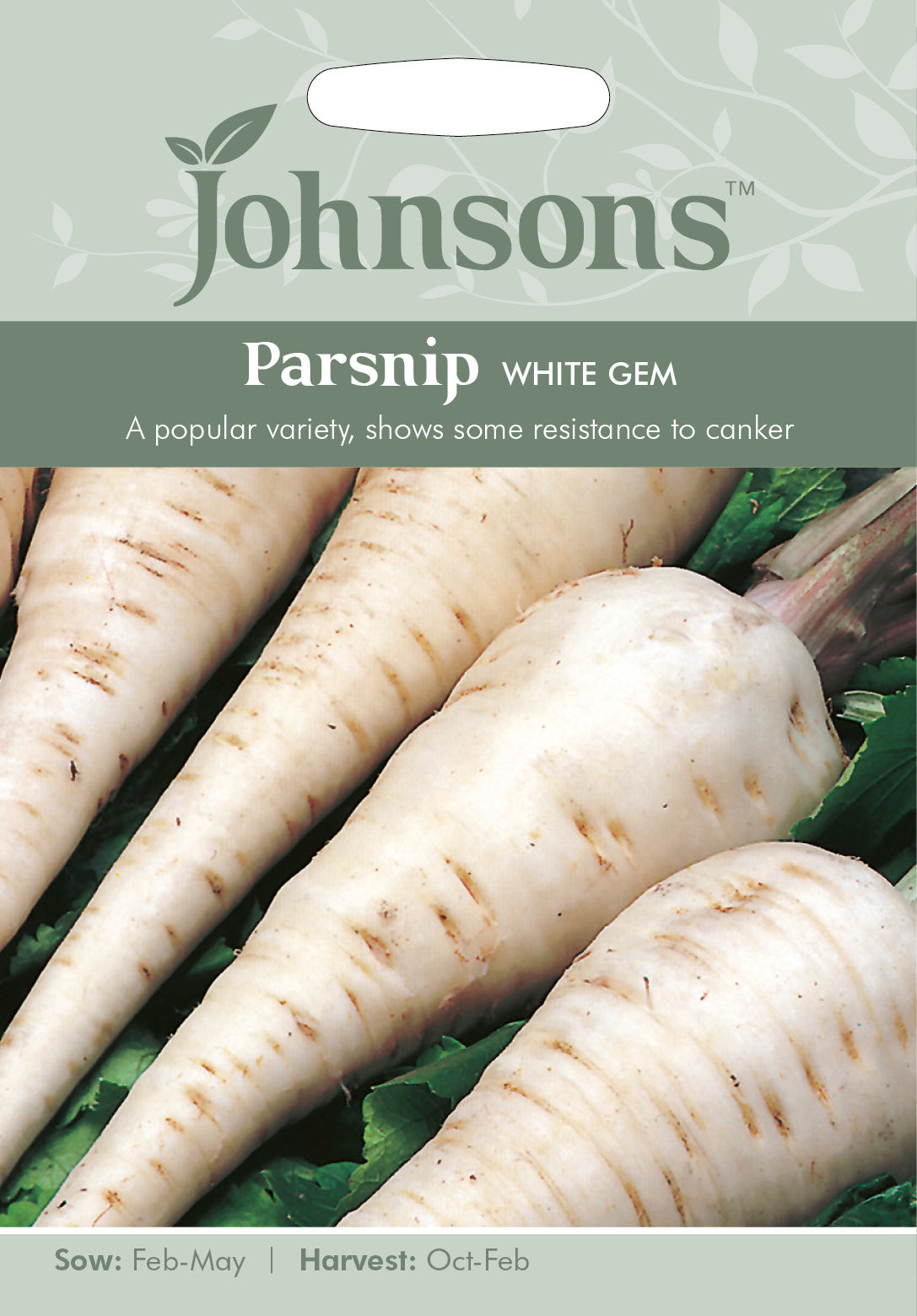 PARSNIP White Gem