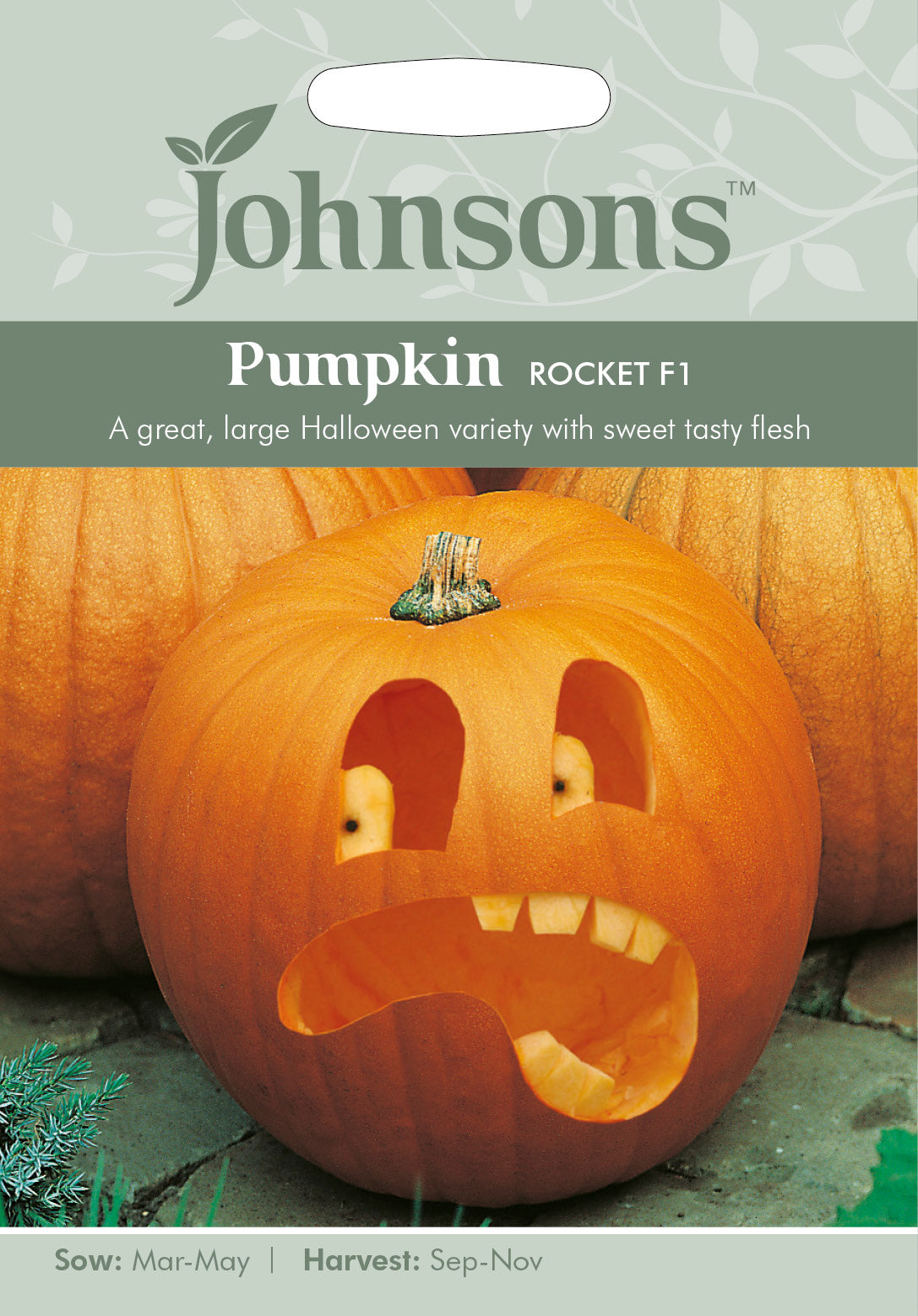 PUMPKIN Rocket F1