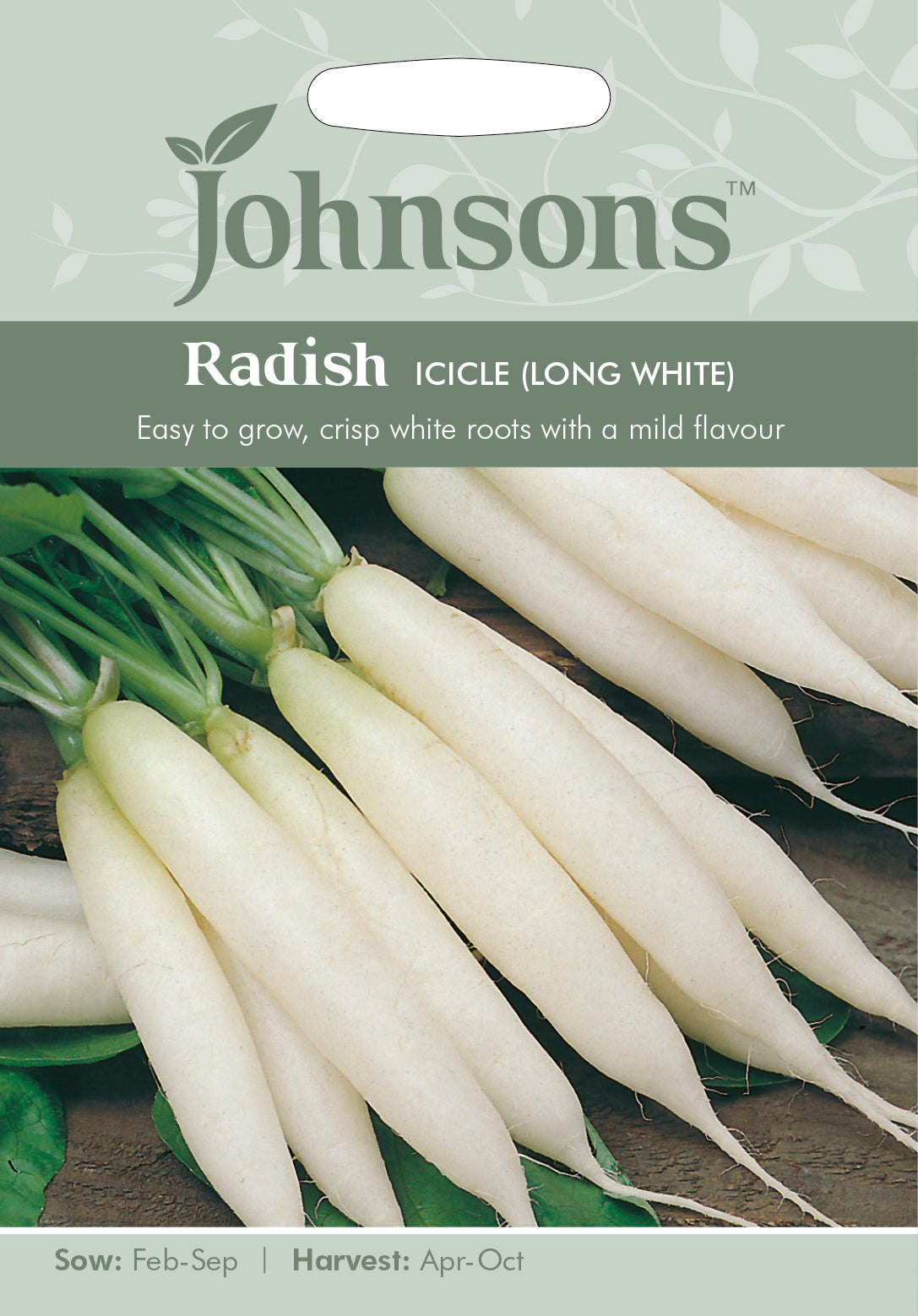 RADISH Icicle (Long White)