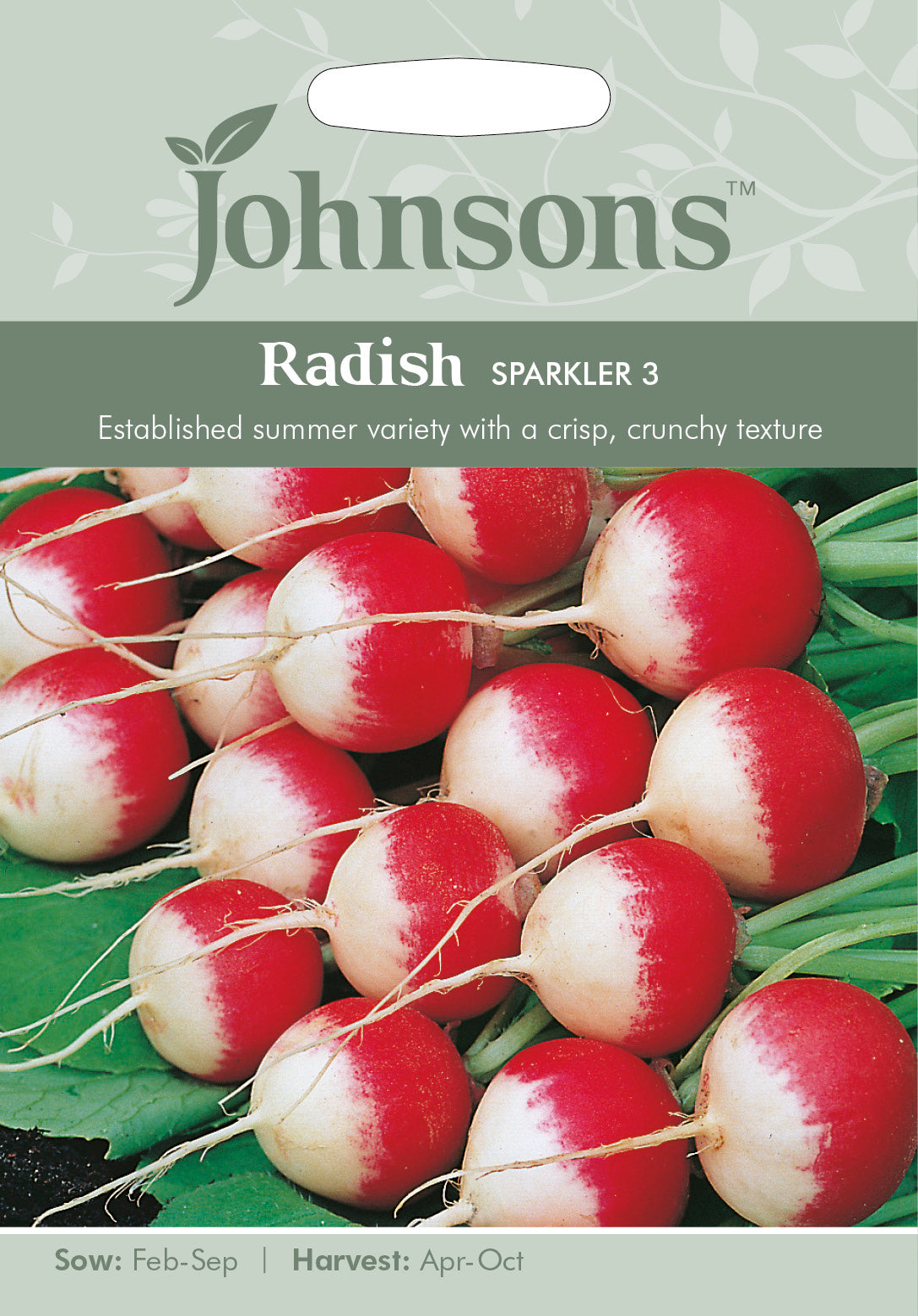 RADISH Sparkler 3