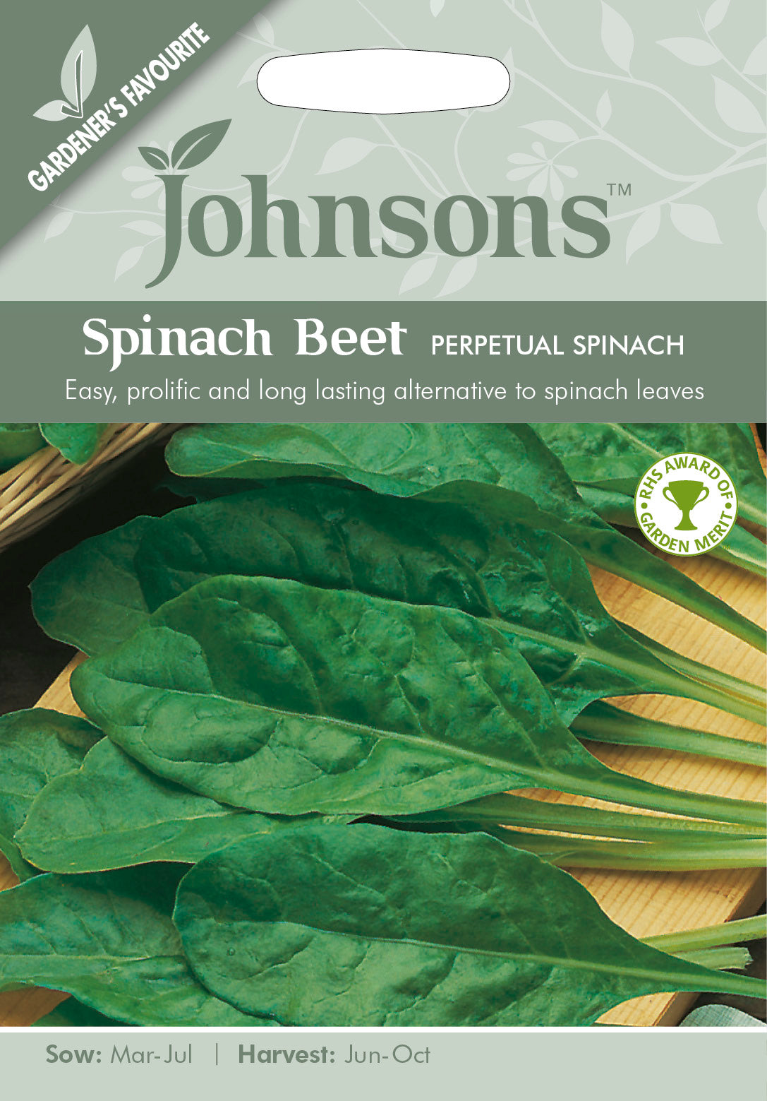 SPINACH BEET Perpetual Spinach