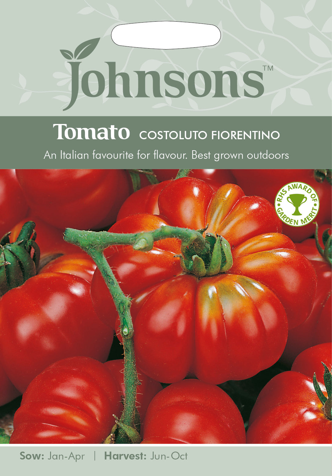 TOMATO Costoluto fiorentino