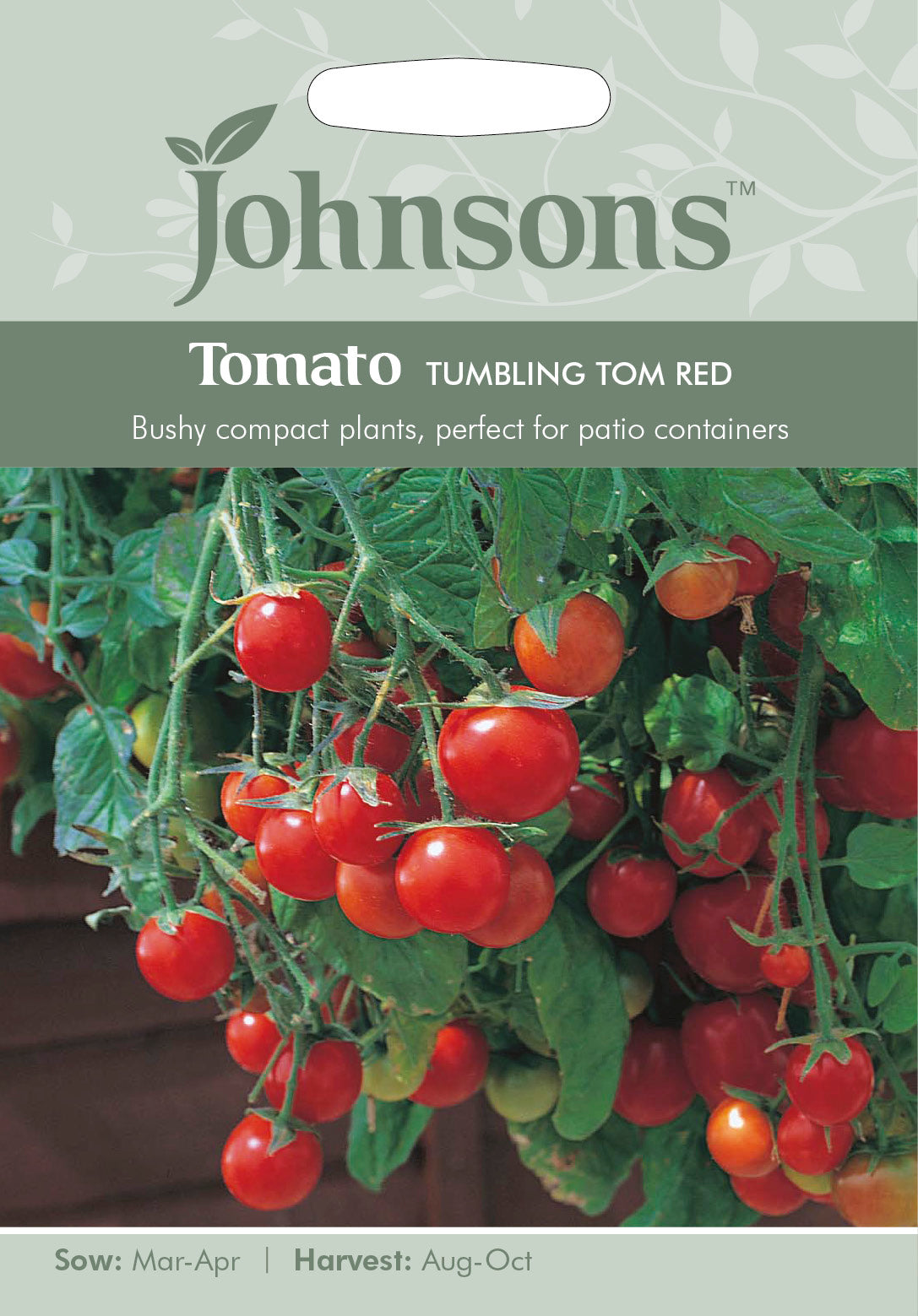 TOMATO Tumbling Tom Red