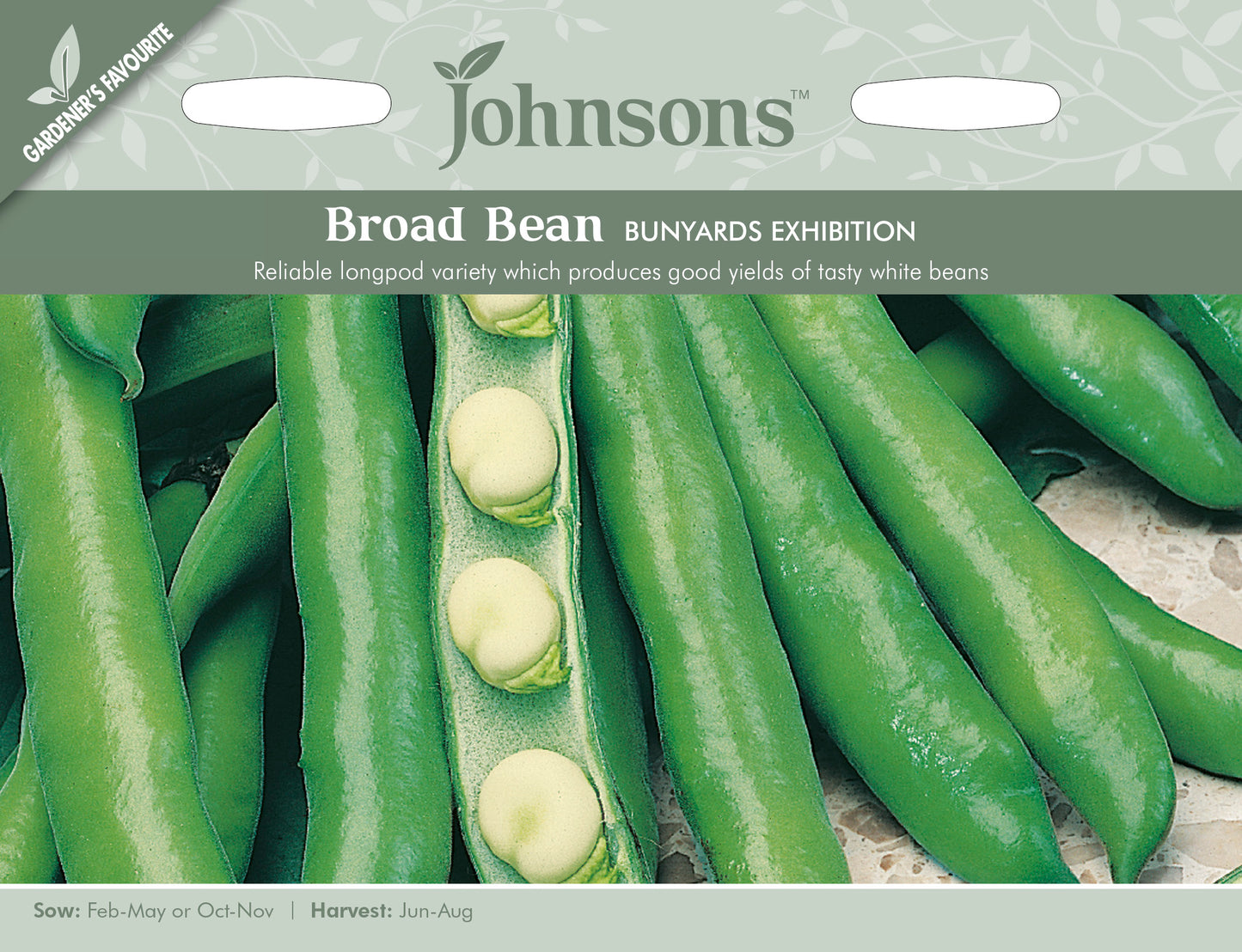 BROAD BEAN Bunyards Exhibition