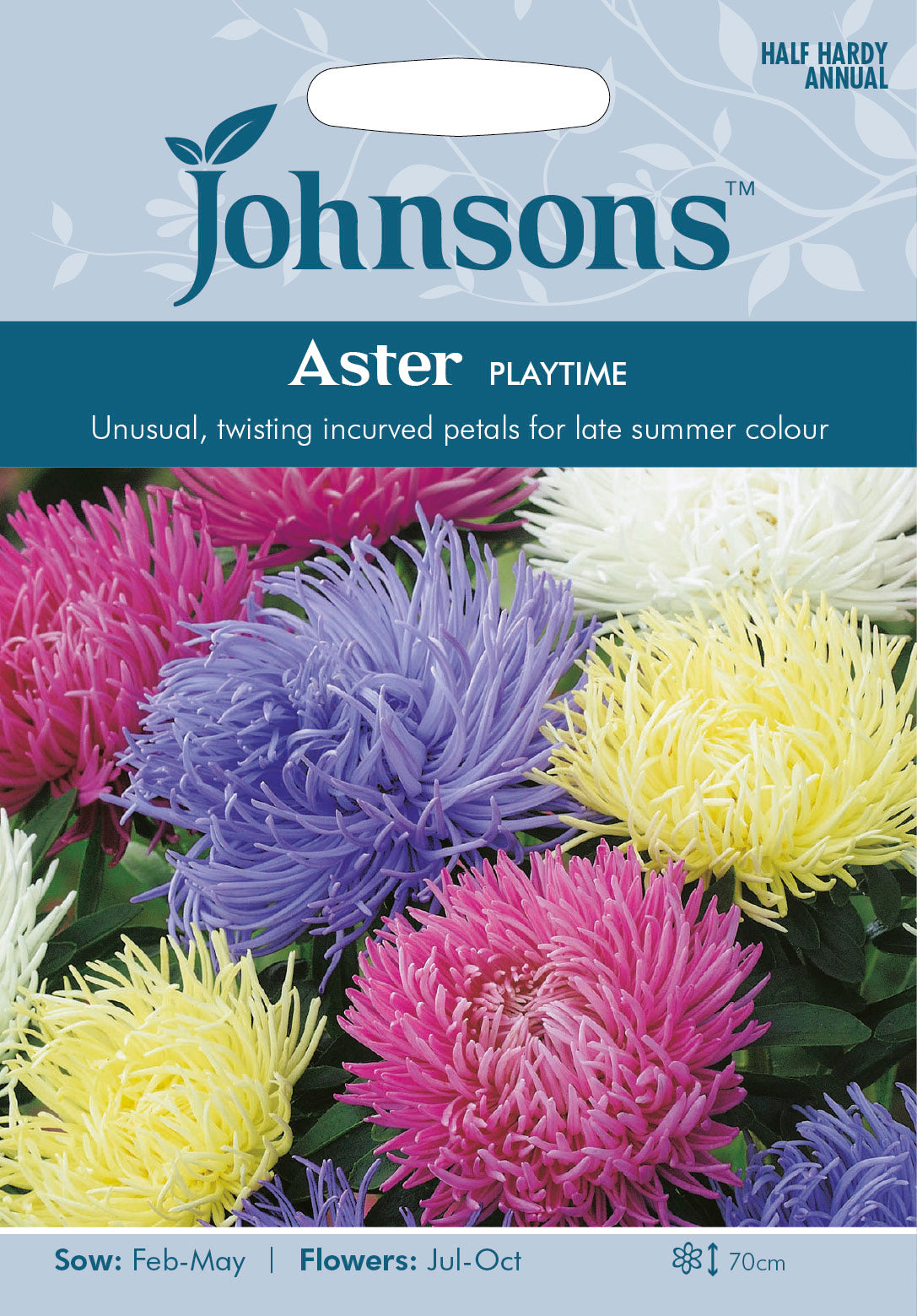 ASTER Playtime