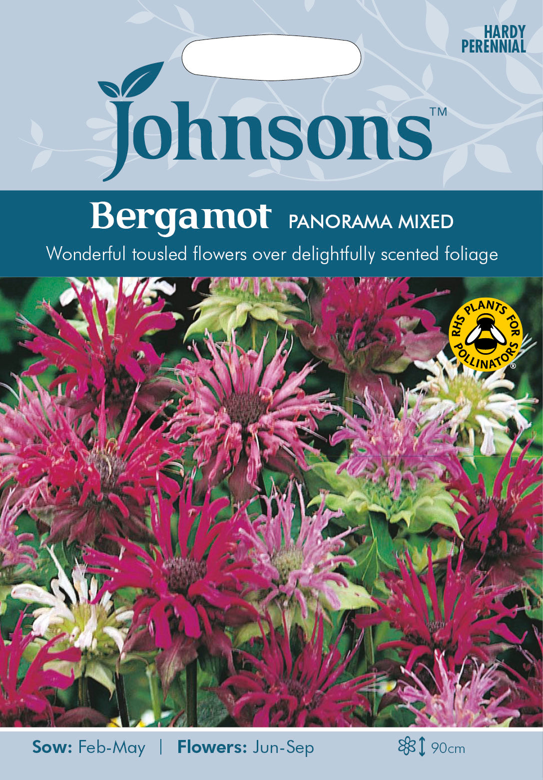 BERGAMOT Panorama Mixed