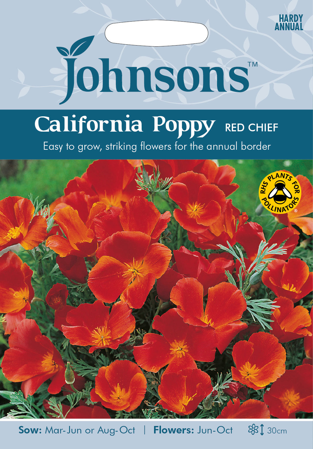 CALIFORNIA POPPY Red Chief