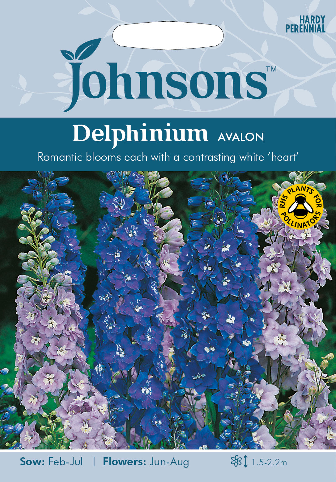 DELPHINIUM Avalon