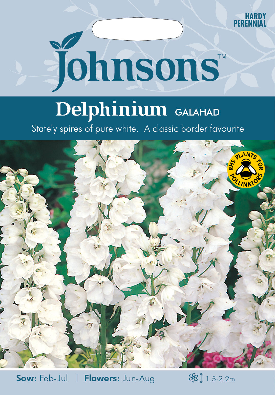 DELPHINIUM Galahad