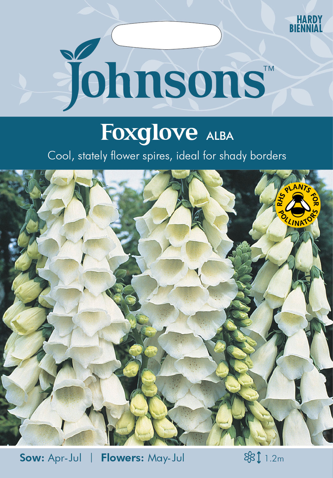 FOXGLOVE Alba