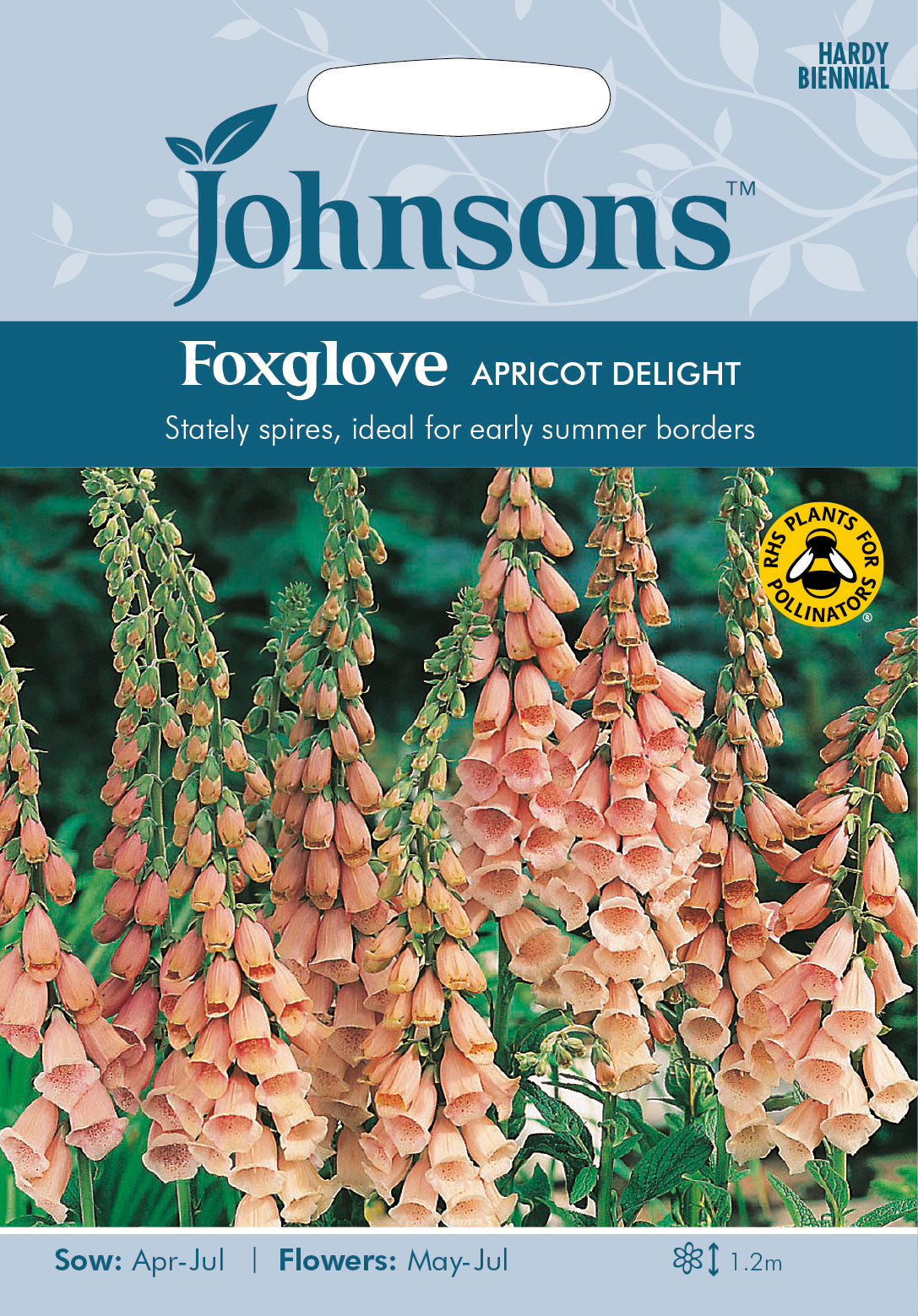 FOXGLOVE Apricot Delight