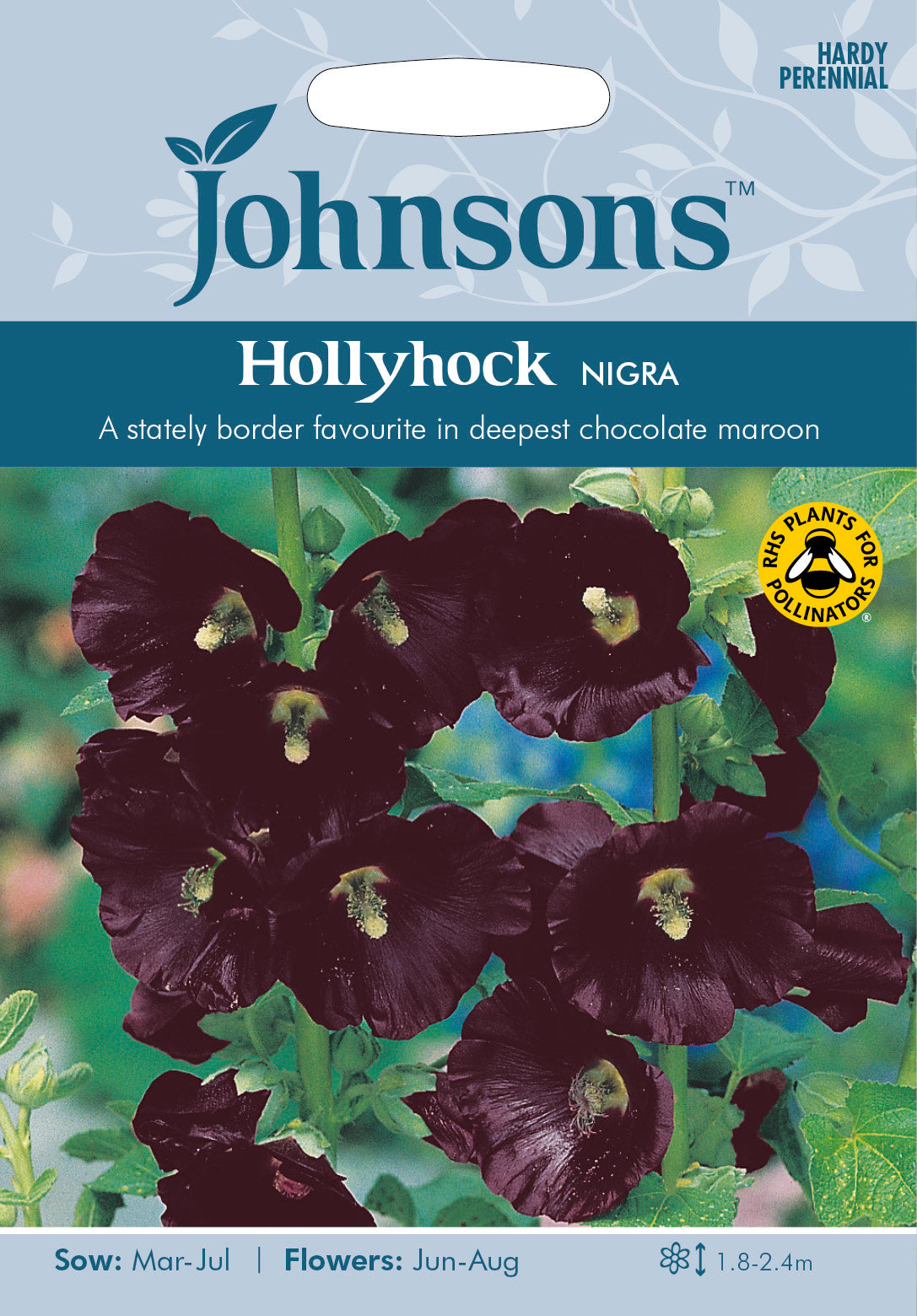 HOLLYHOCK Nigra