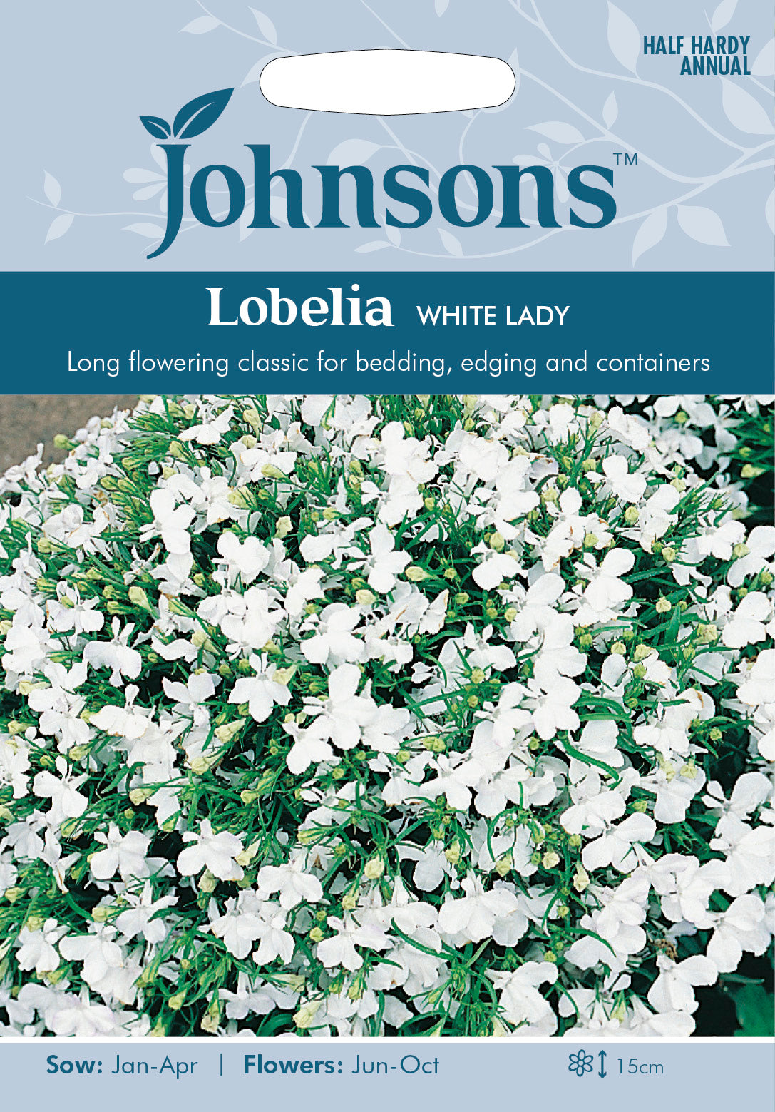 LOBELIA White Lady