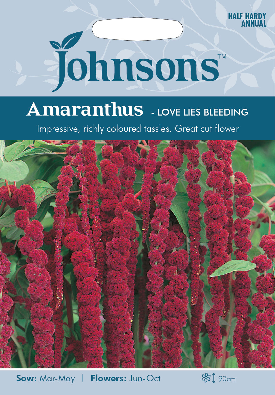 AMARANTHUS Love Lies Bleeding