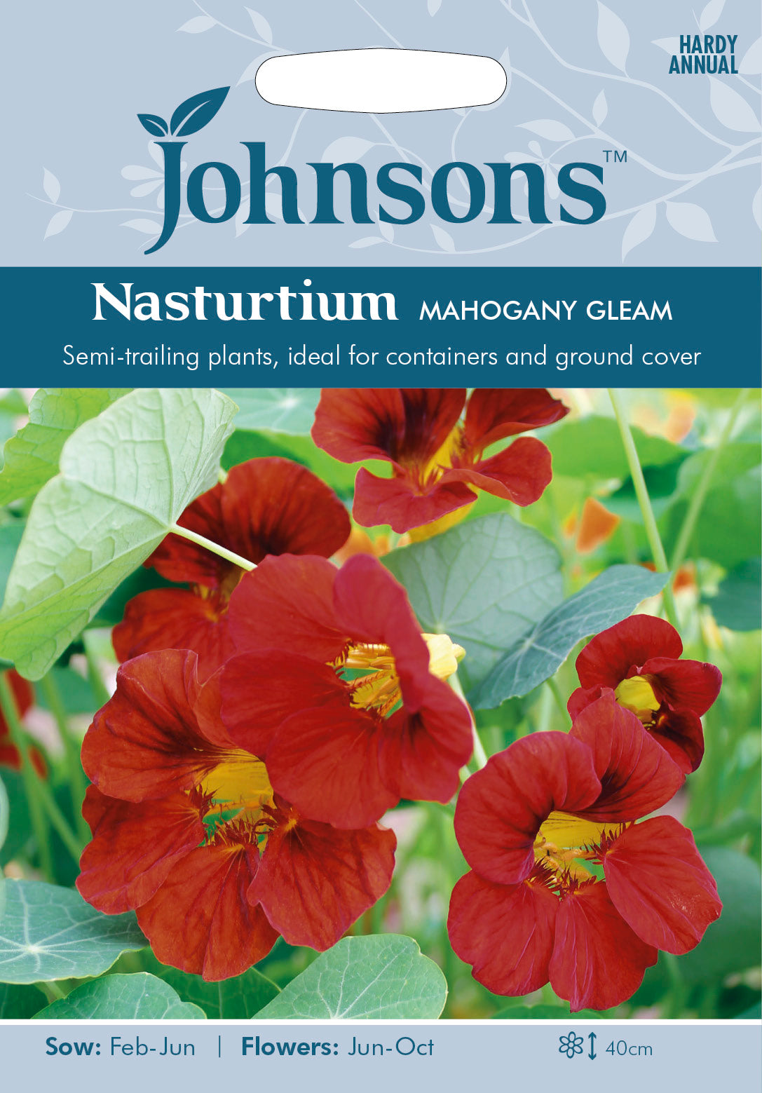 NASTURTIUM Mahogany Gleam