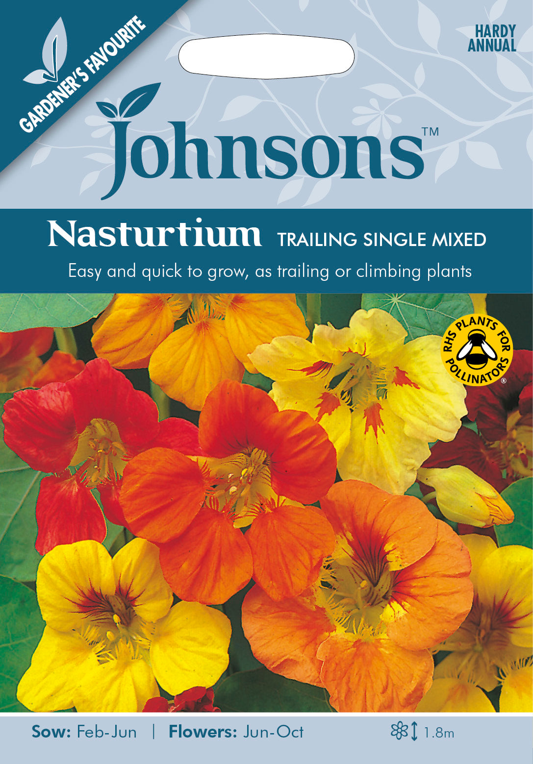 NASTURTIUM Trailing Single Mixed