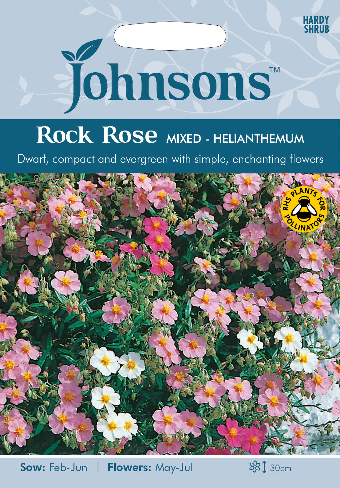 ROCK ROSE Mixed Helianthemum