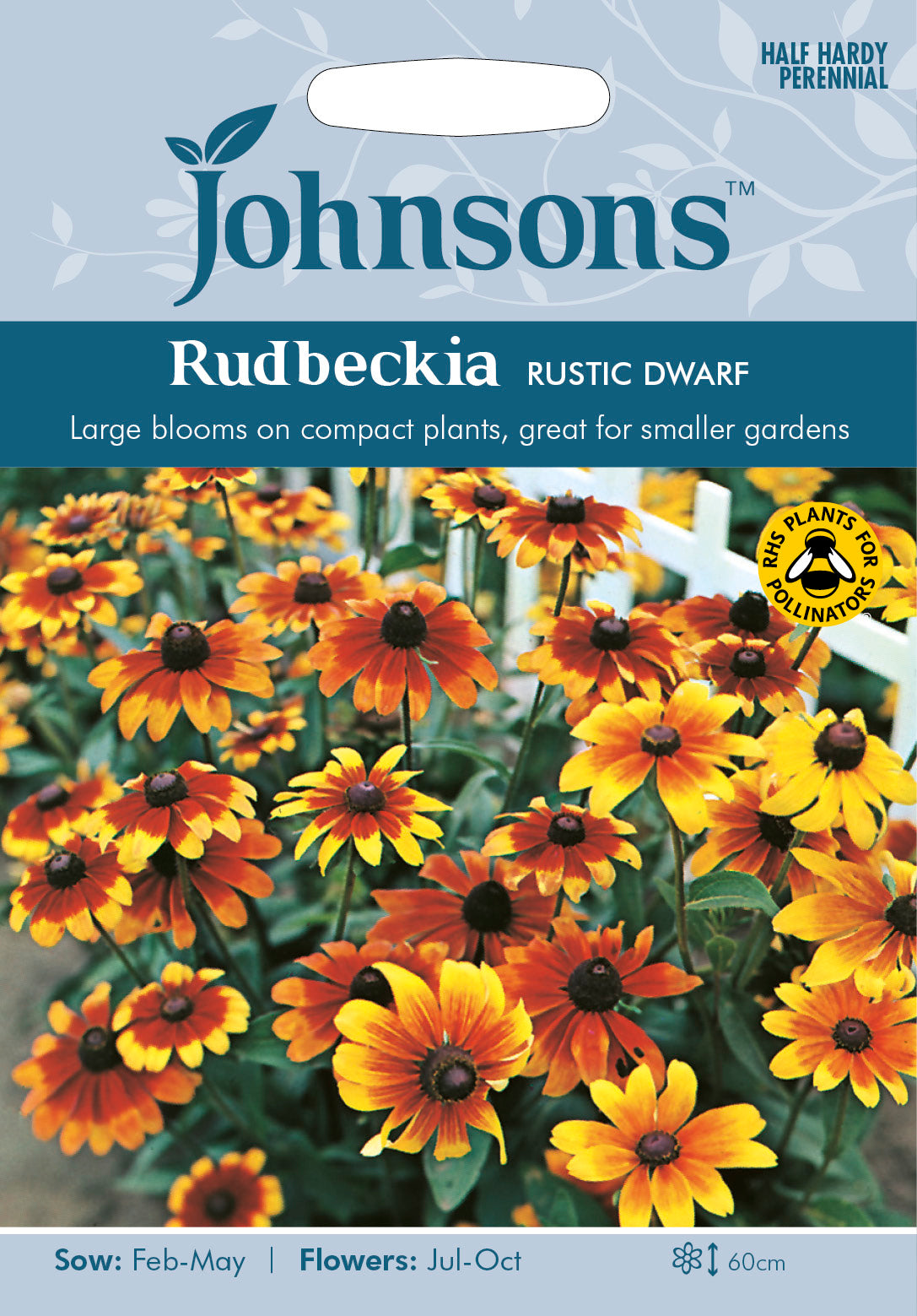 RUDBECKIA Rustic Dwarf