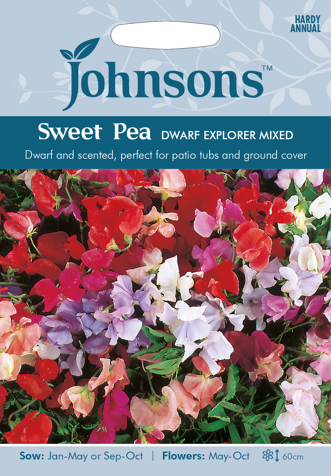 SWEET PEA Dwarf Explorer Mixed