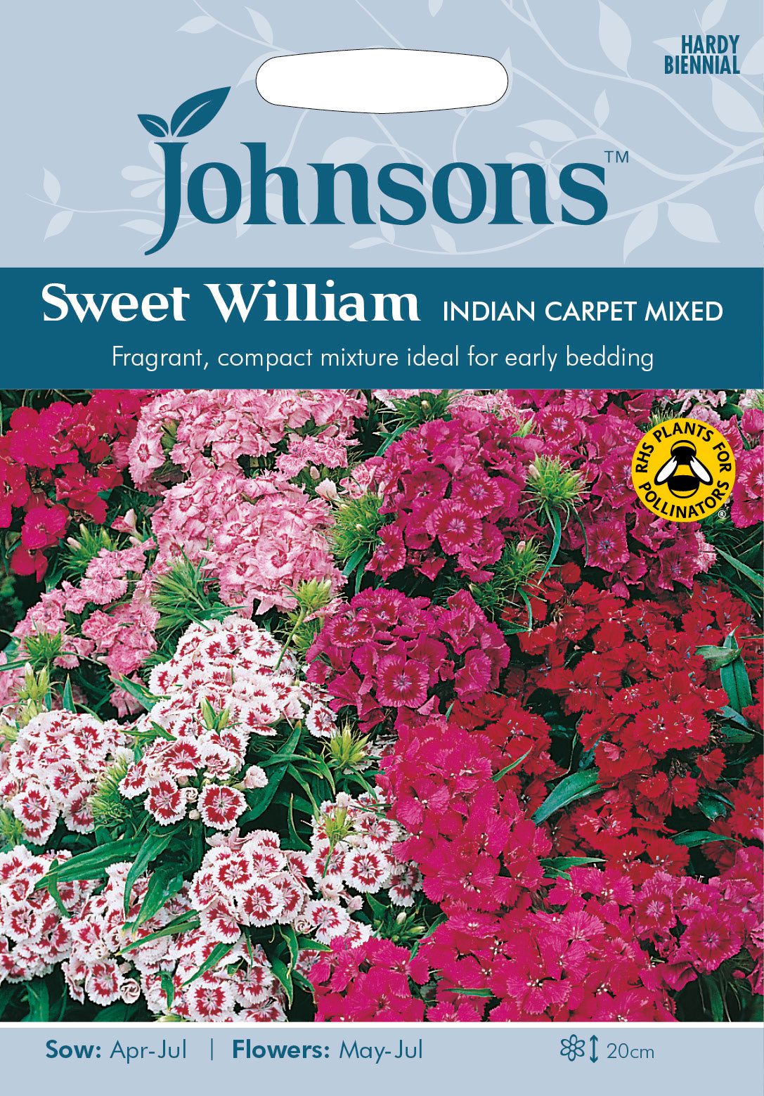 SWEET WILLIAM Indian Carpet Mixed