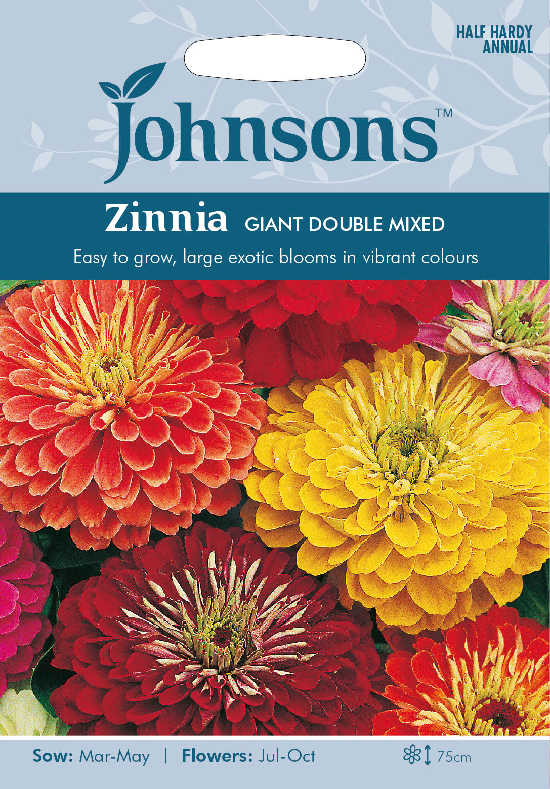 ZINNIA Giant Double Mixed