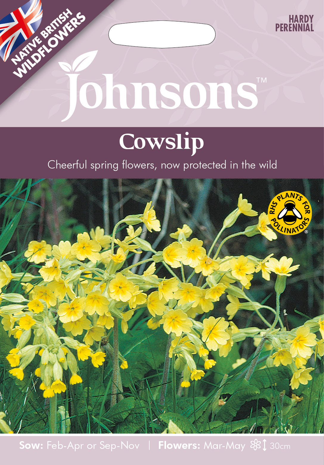 Wildflower Cowslip