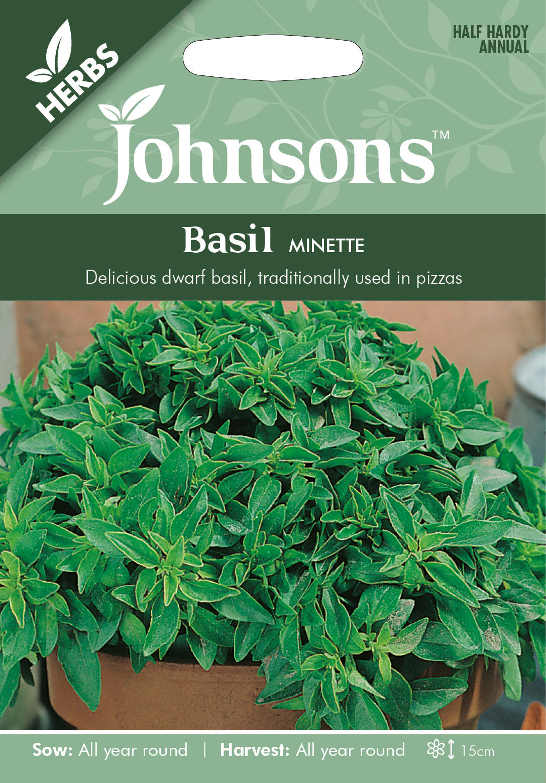 BASIL Minette