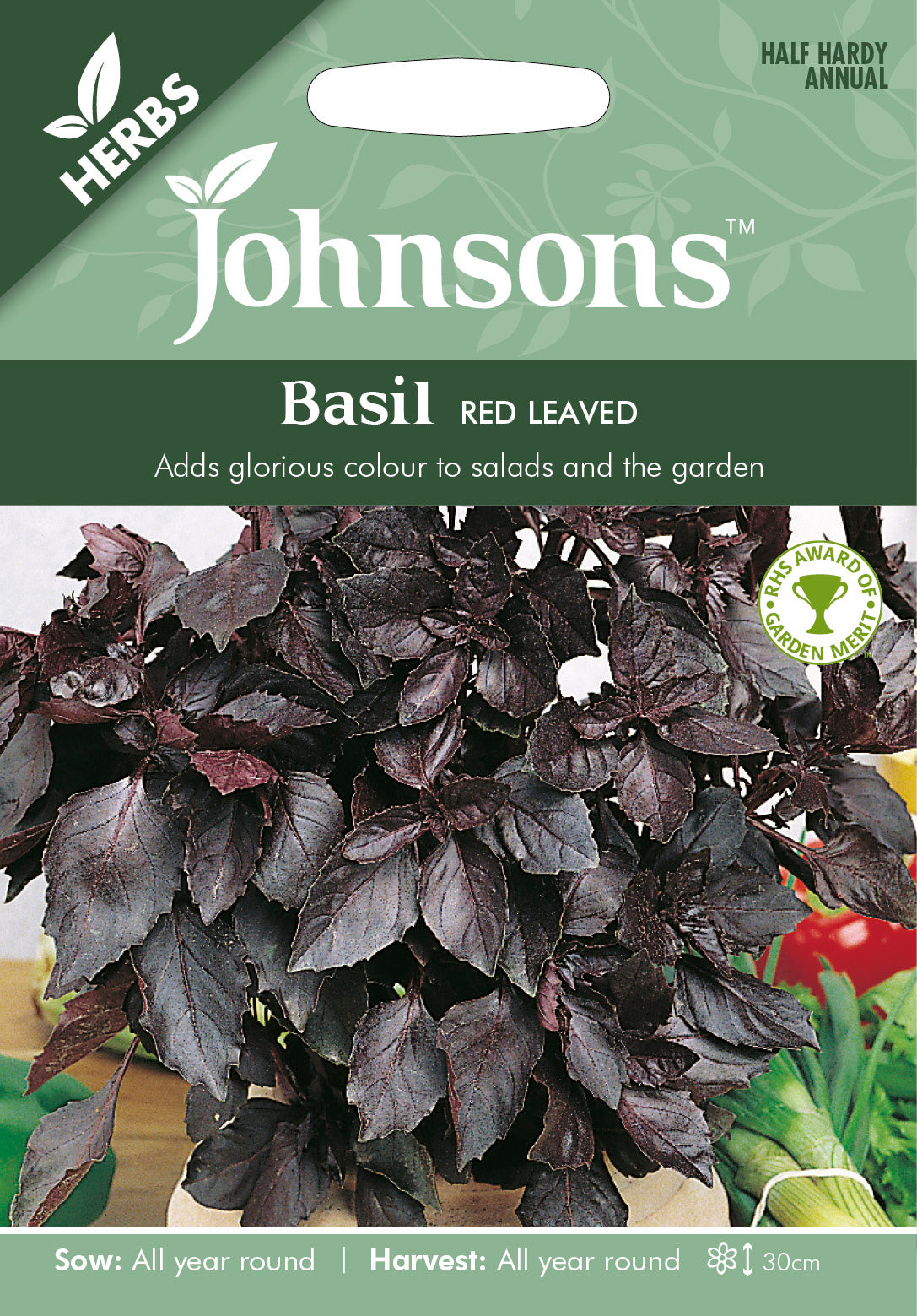 BASIL Red Leaved