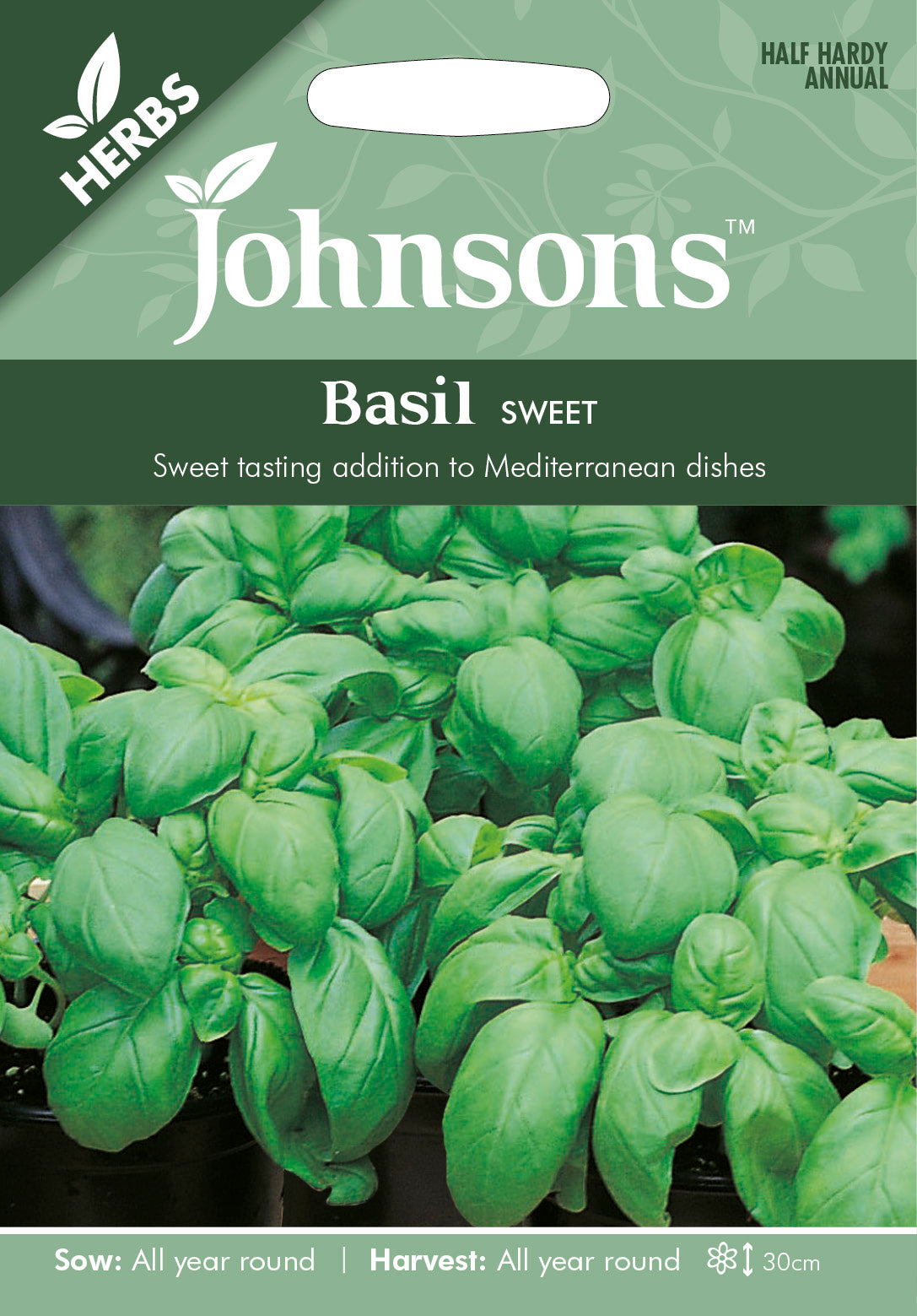 BASIL Sweet