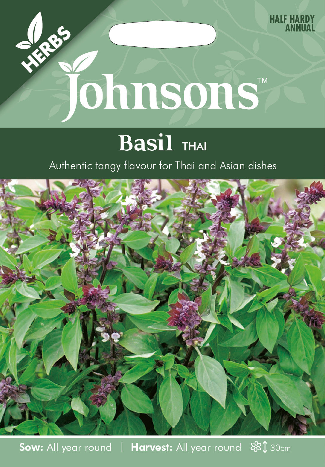 BASIL Thai